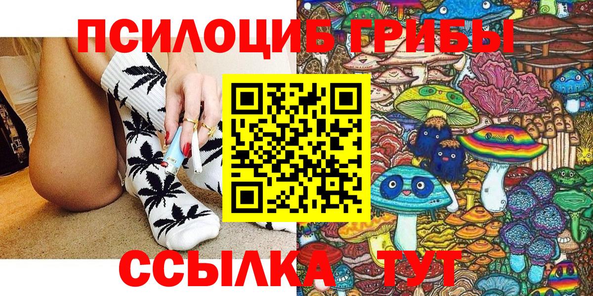 купить наркотик  Псилоцибиновые грибы мухоморы  Вход с VPN  Нягань  Псилоцибиновые грибы мицелий 
