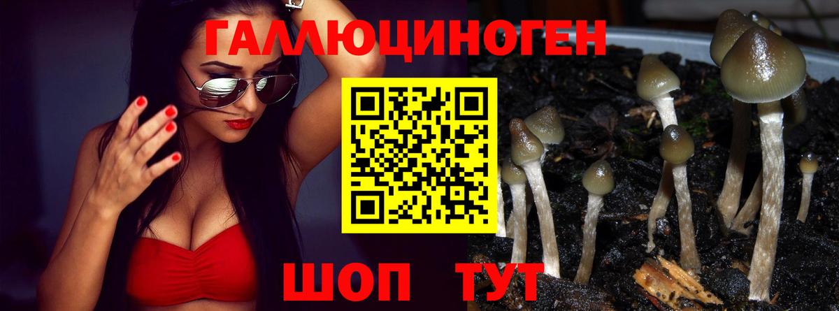 Галлюциногенные грибы Psilocybine cubensis Нягань